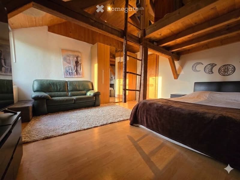 Ferme à rénover à 20 minutes du CHUV (2)