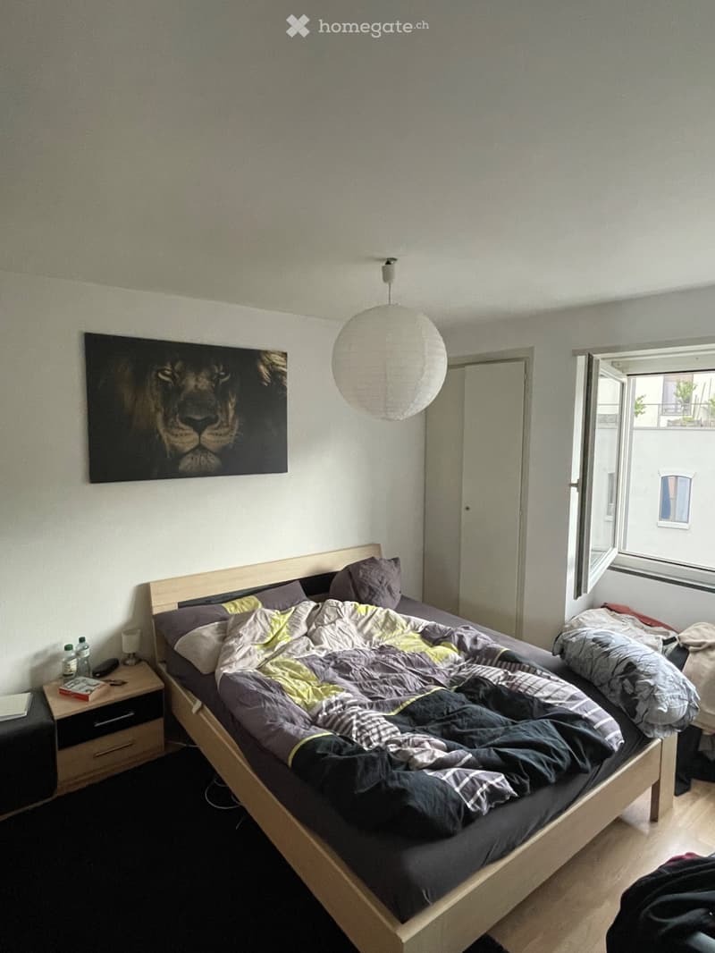 Appartement 3.5 pcs au centre-ville (5)