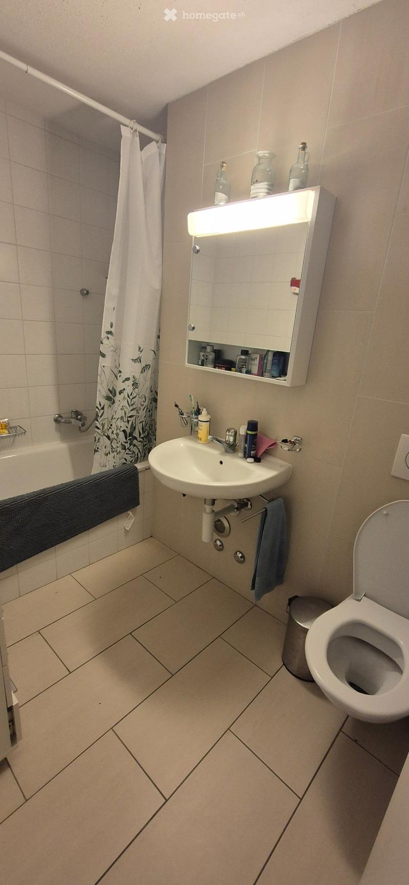 Appartement de 3,5 pièces, bail à reprendre au 01.08.2026 (3)