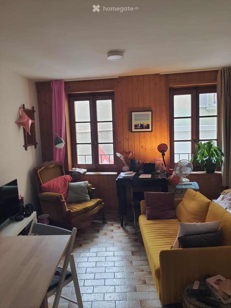 Studio 30m² Lausanne (2)