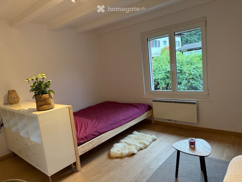 Chambre 16 m² dans villa / contre services auprès danimaux (3)