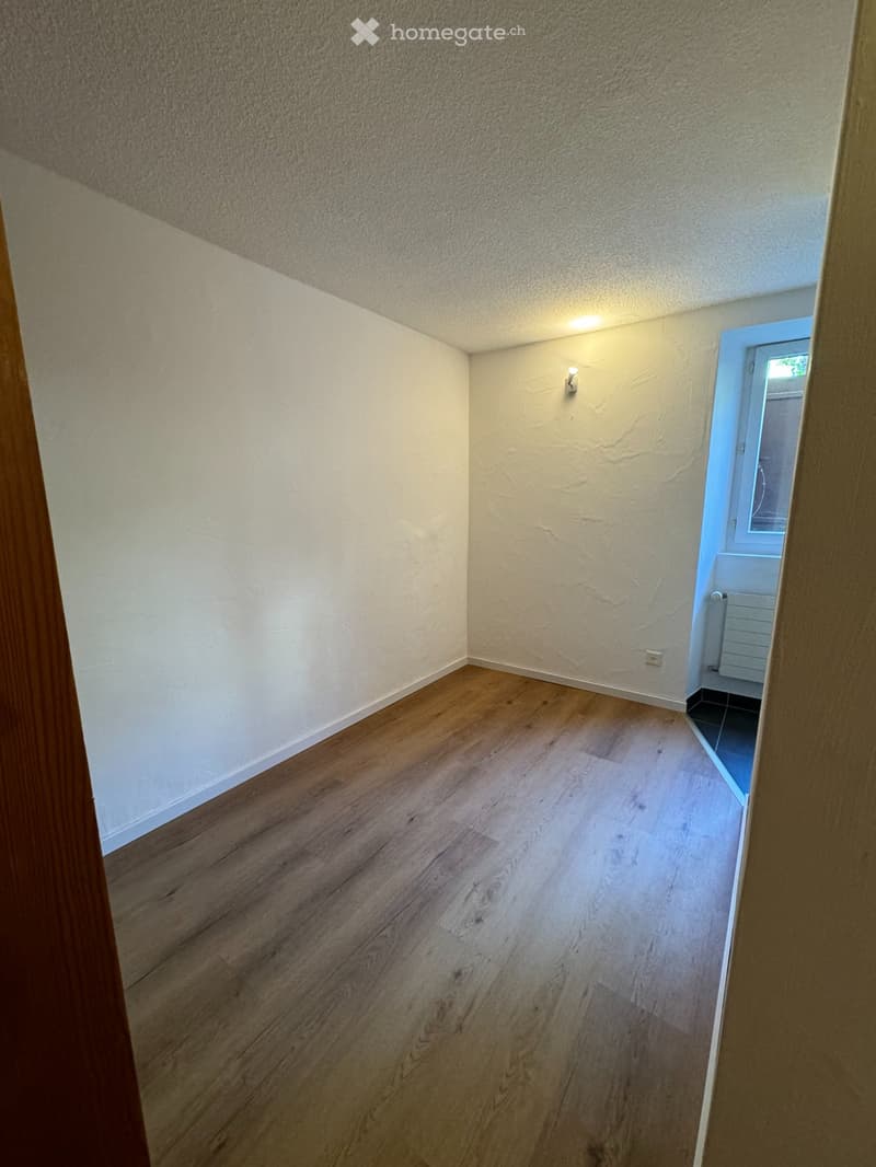 Appartement 2 pièces rénové (3)