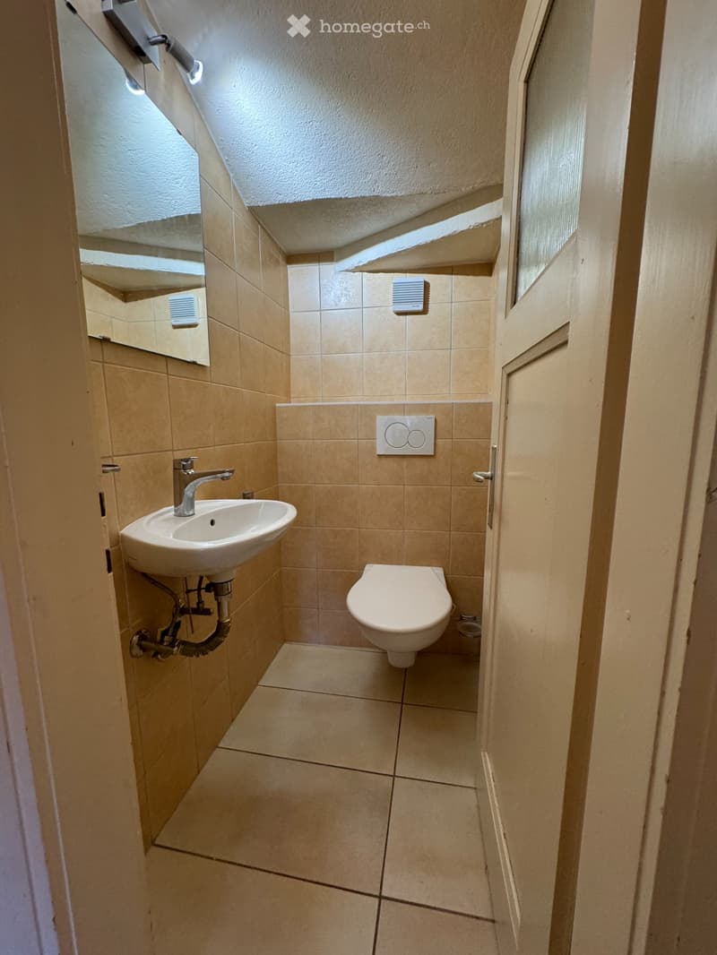 Appartement 2 pièces rénové (5)