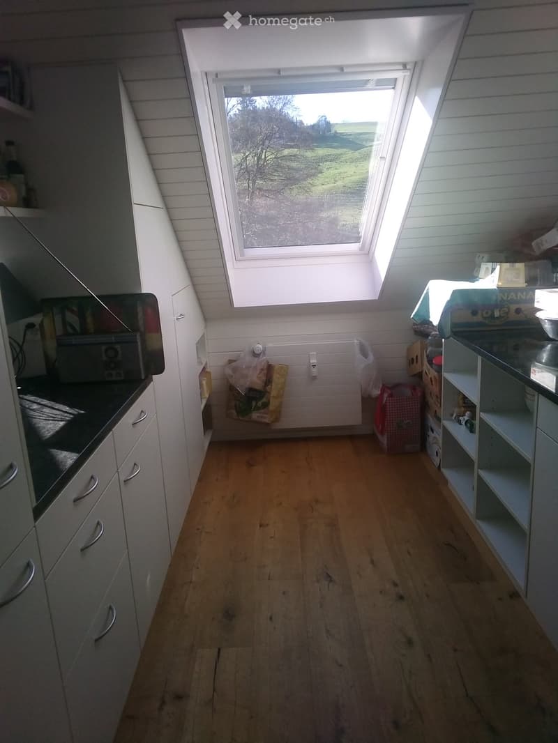 Möbliertes Zimmer frei ab 1. Juli für eine 2. Frau in WG (3)