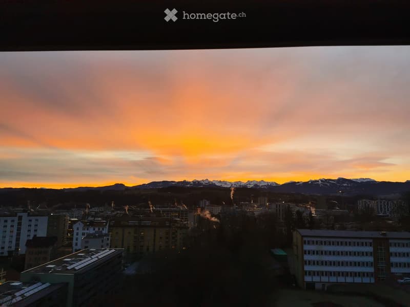 Appartement lumineux au centre de Fribourg (5)
