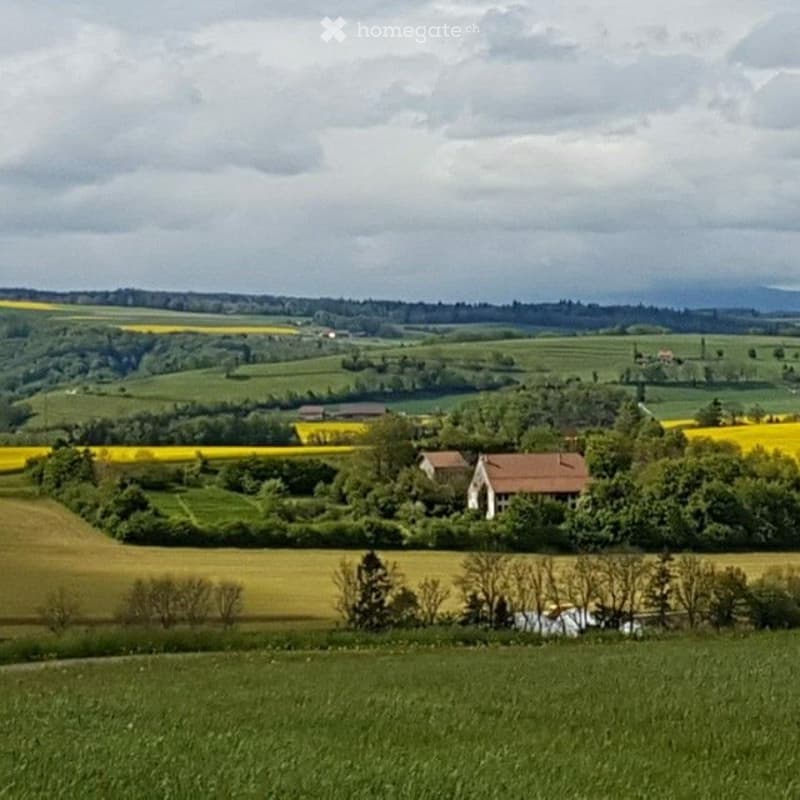 Deux-pièces dans un îlot paisible de verdure dès le 1.7.2026 (5)