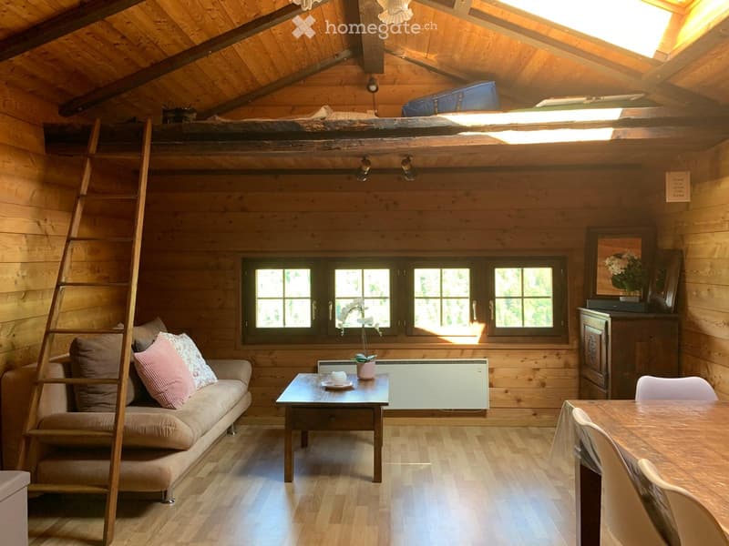 Appartement duplex 2,5 pièces avec parcelle (1)