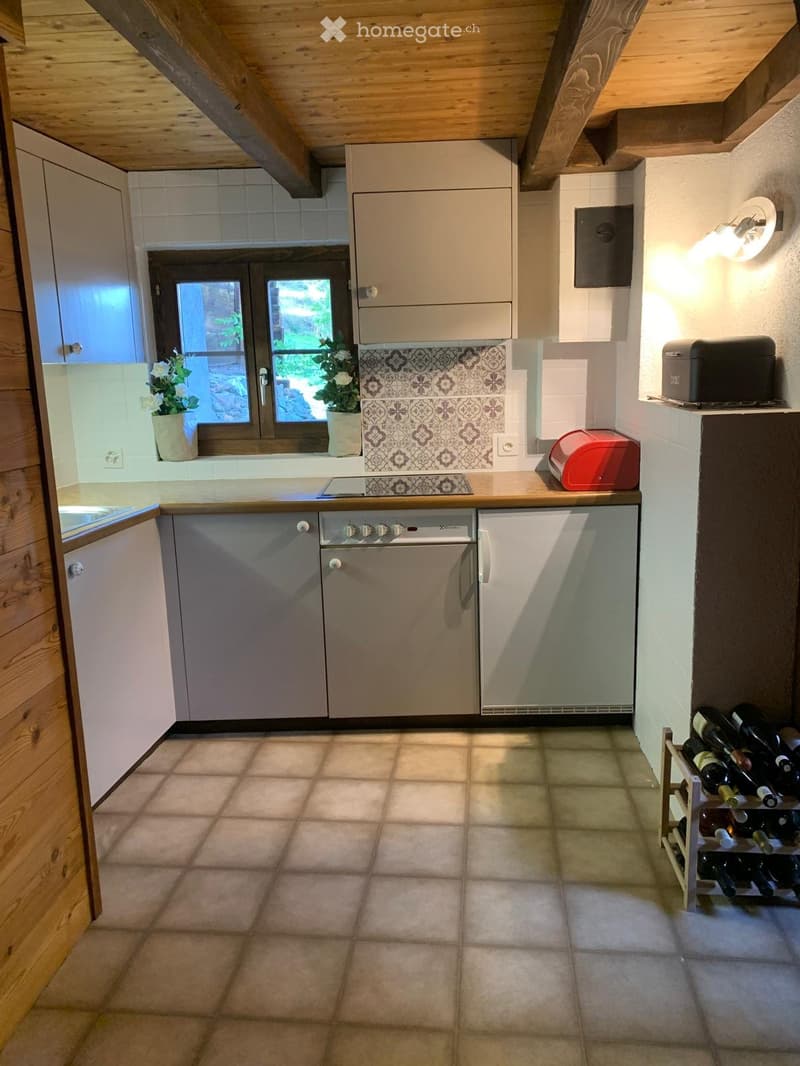 Appartement duplex 2,5 pièces avec parcelle (3)