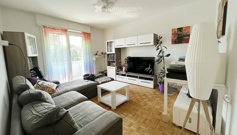 Sublet Central Lausanne July 1 to August 15, 2026 (1)
