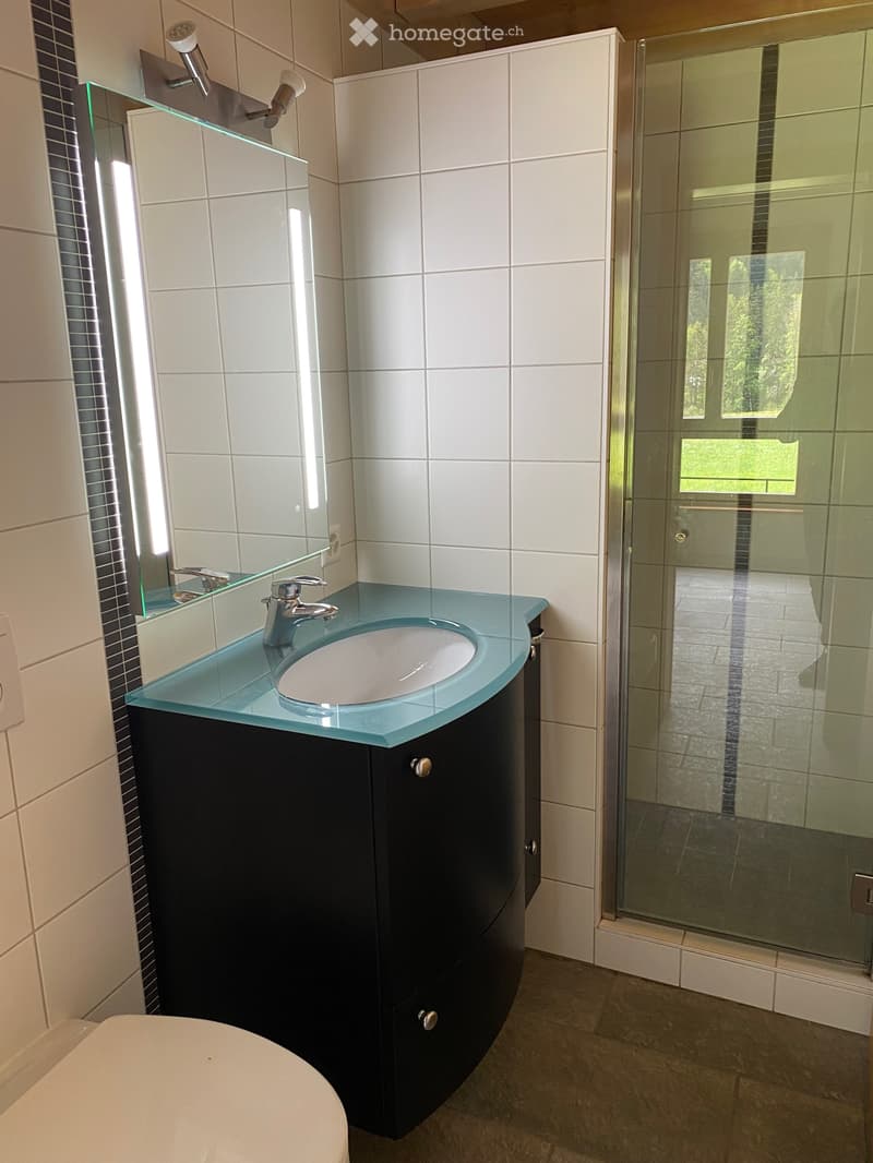 Joli appartement de 4,5 pièces (5)
