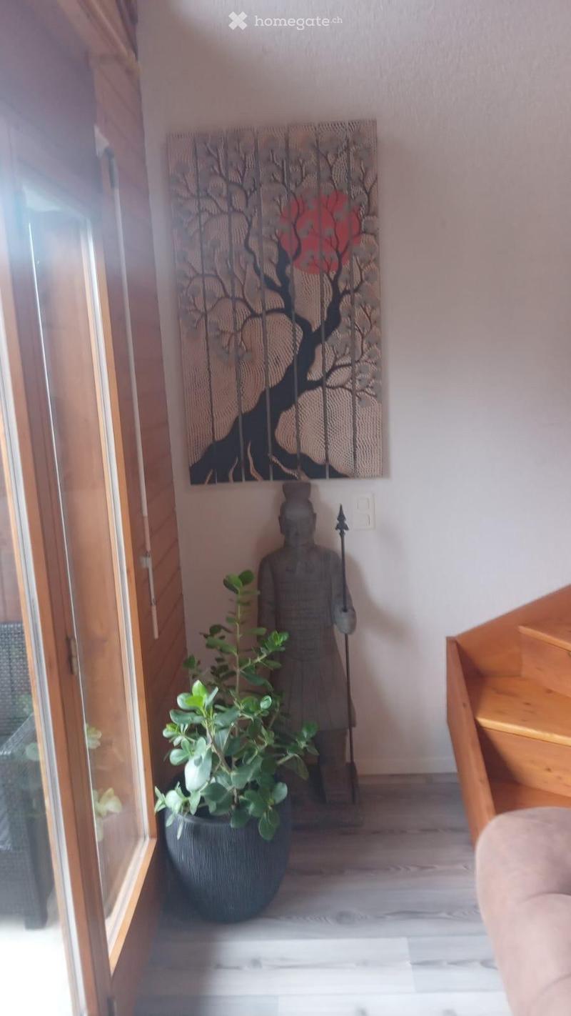 Appartement en colocation (9)