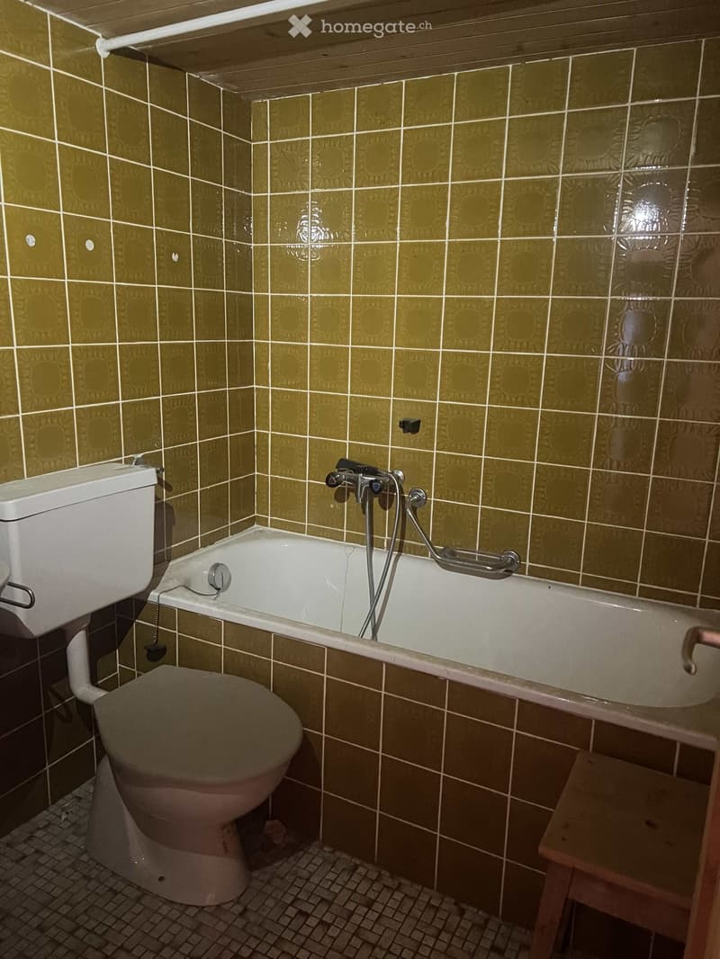 2 pièces avec cuisine, salle de bains + terrasse à Albinen. (4)