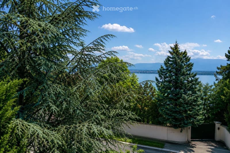 Furnished Elegant appartment for rent in Tannay (Vaud) (2)