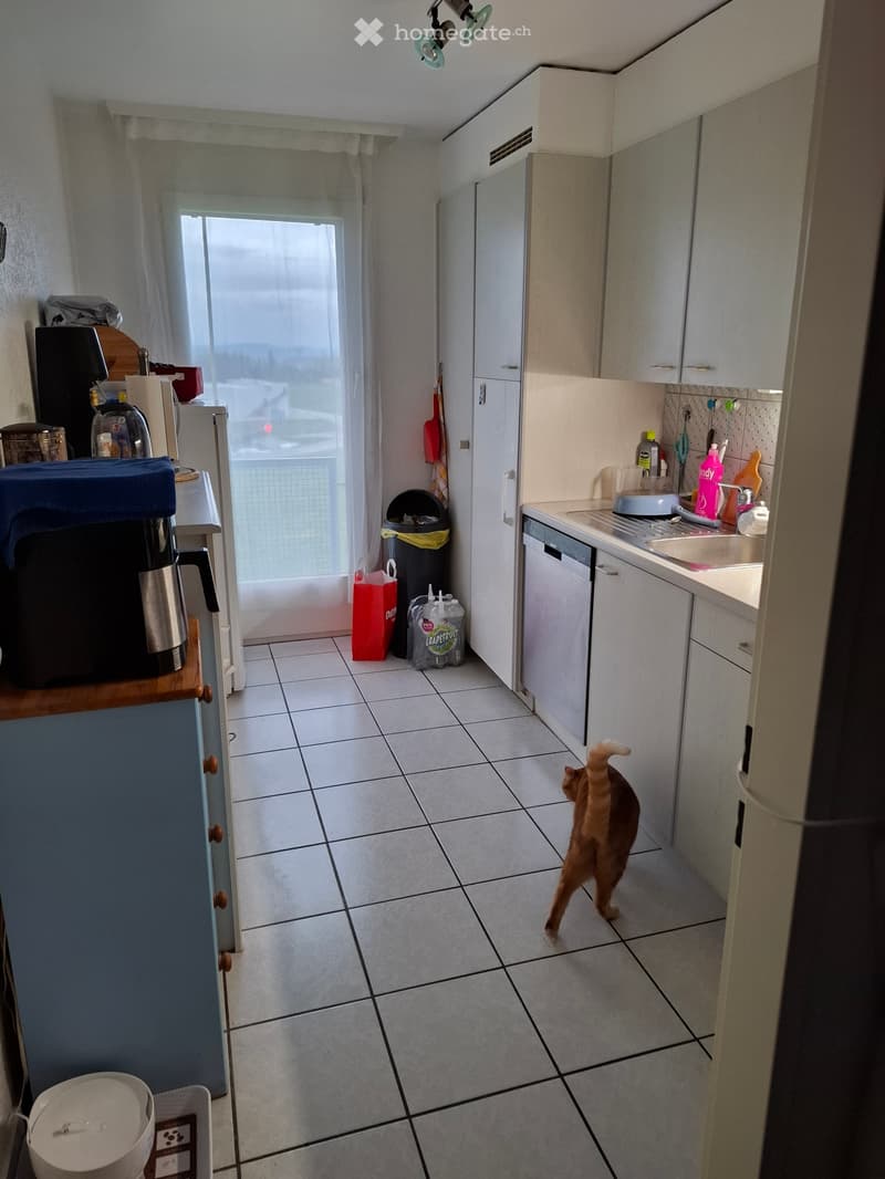 Appartement (5)