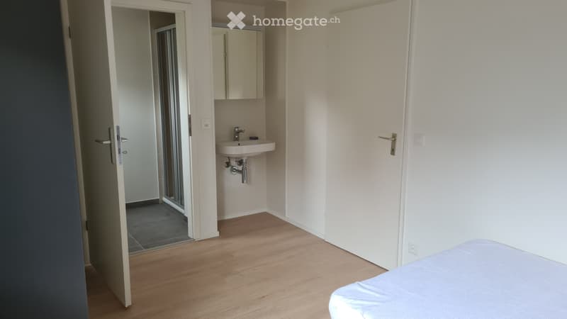 Chambre à louer dans une magnifique maison en colocation (5)