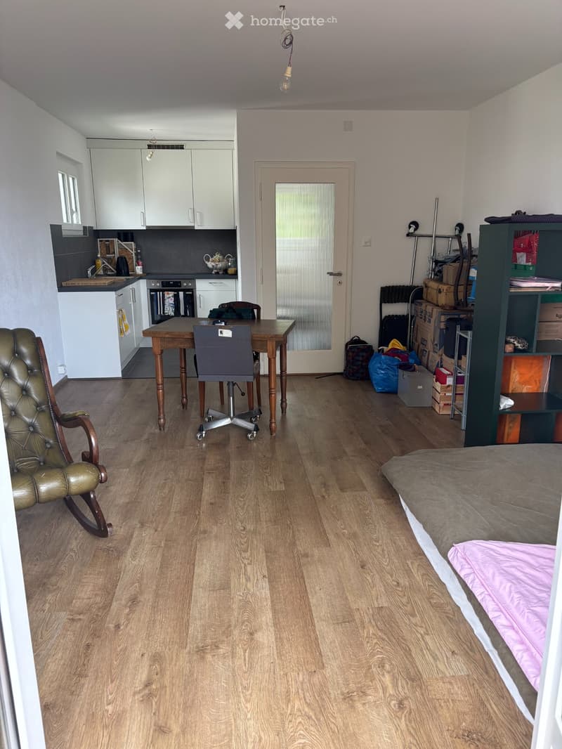 Je rends mon appartement (5)
