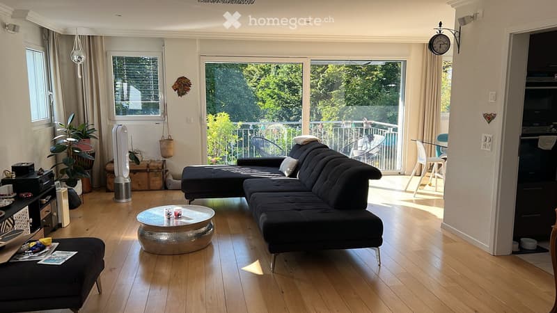 Superbe duplex 4.5 pièces avec terrasse, jacuzzi et jardin (3)