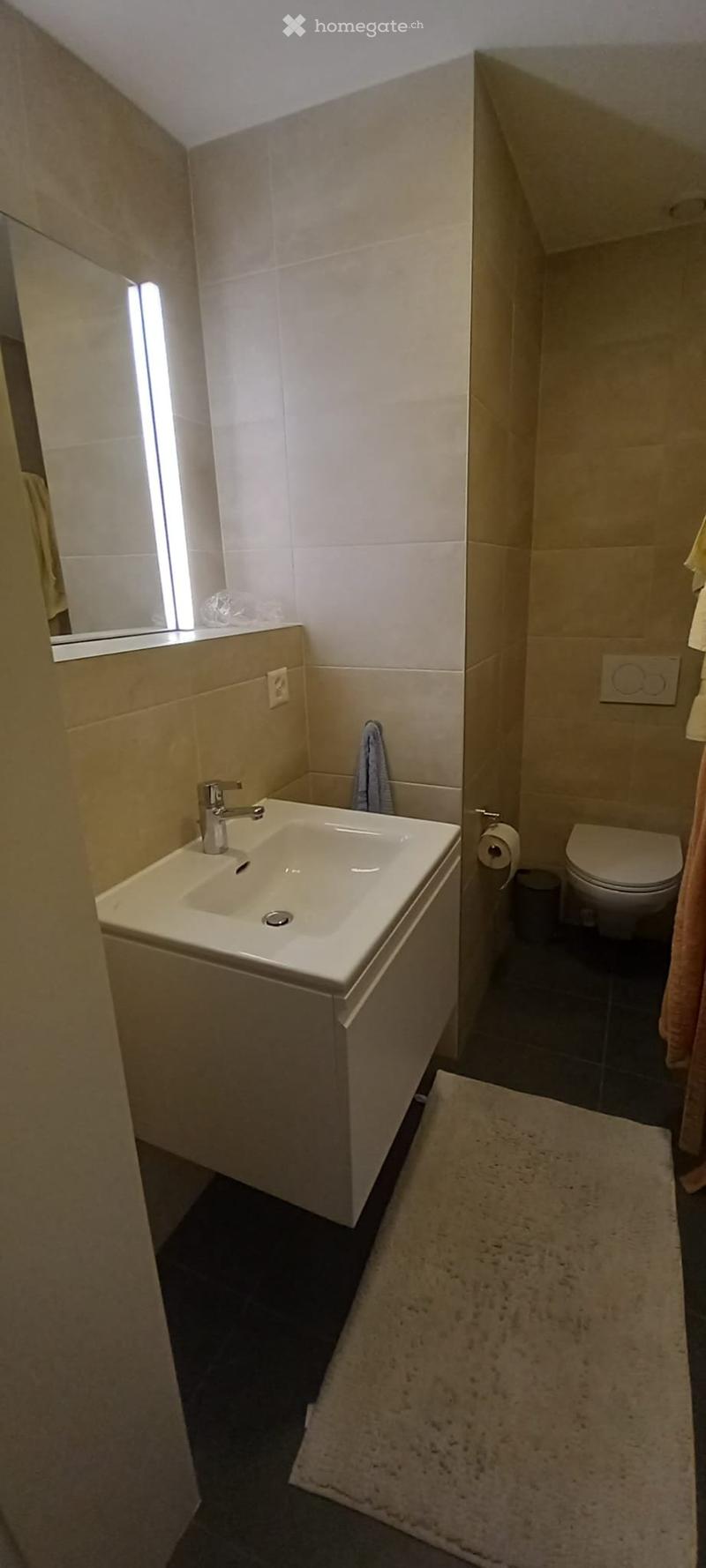 Appartement Lens avec vue (5)