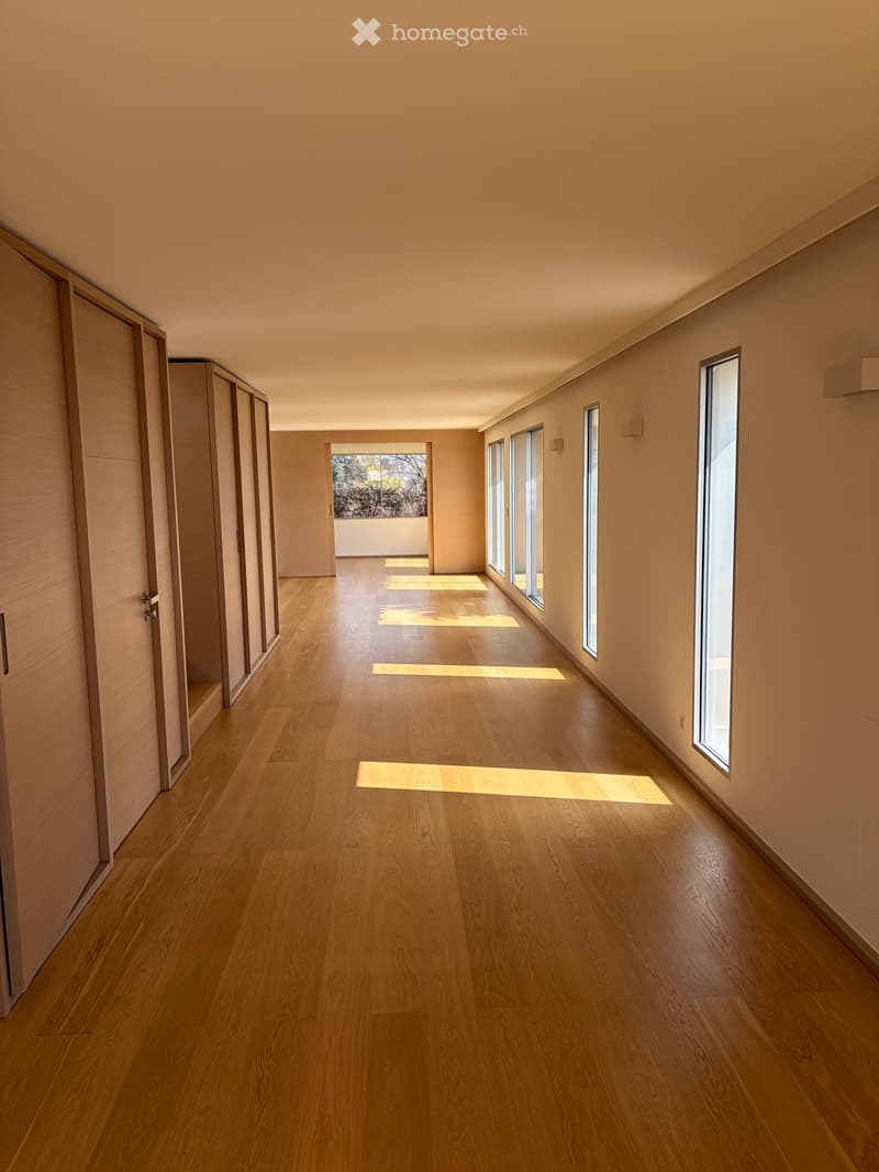 Bel appartement en attique (4)