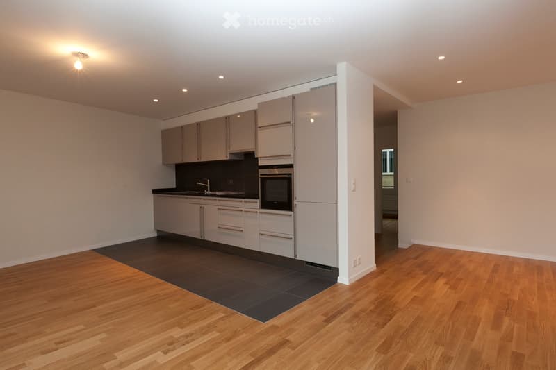 3.5 pièces de 85 m², centre de Lausanne (2)