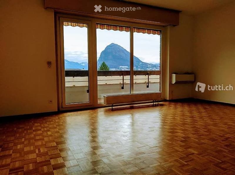 Lugano, 3.5 locali attico con posteggio interno (3)