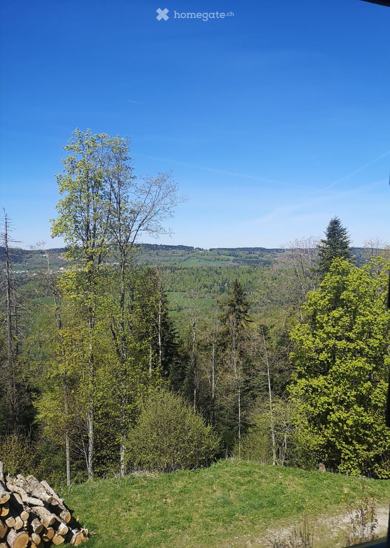 A vendre maison au noirmont (2)