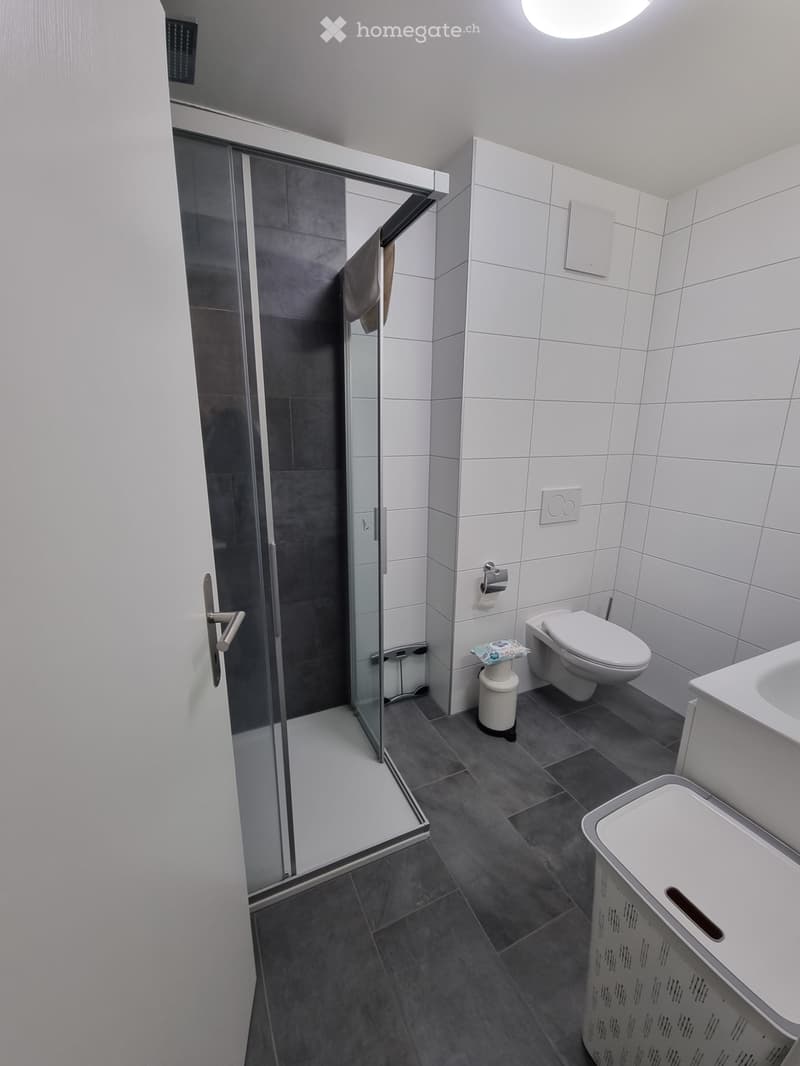Appartement 2.5 pièces à louer à Vernayaz (3)