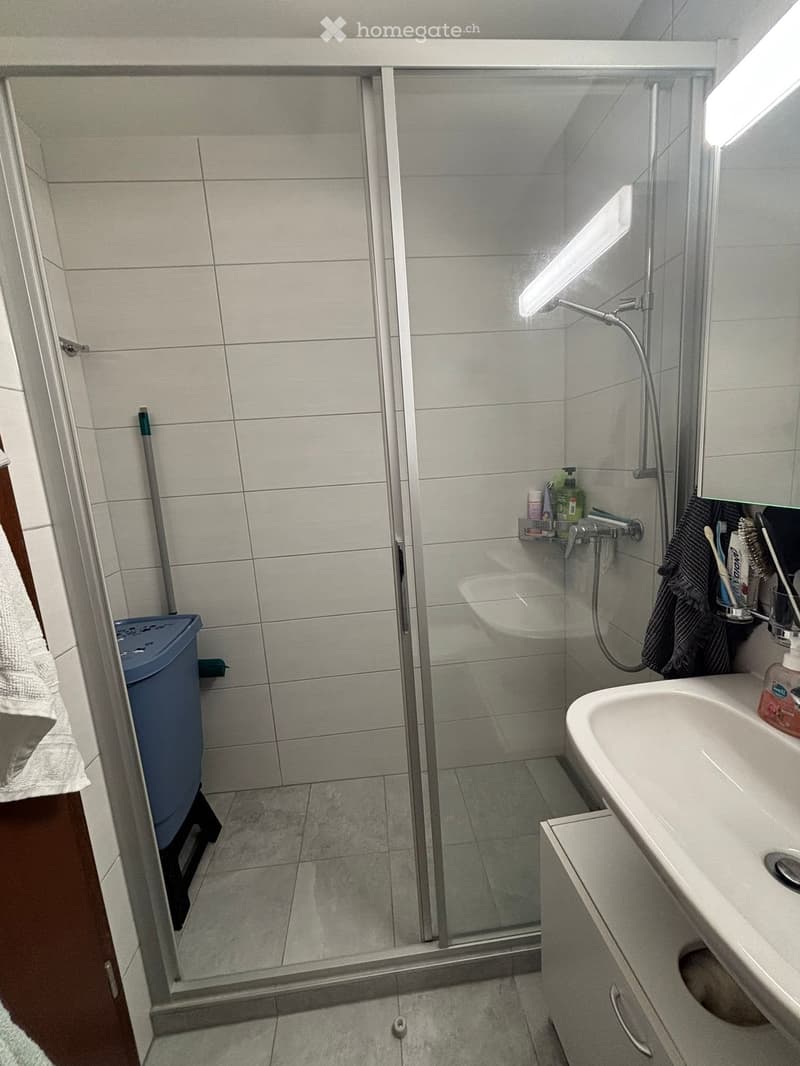 Charmant appartement de 1.5 pièces à Monthey (5)