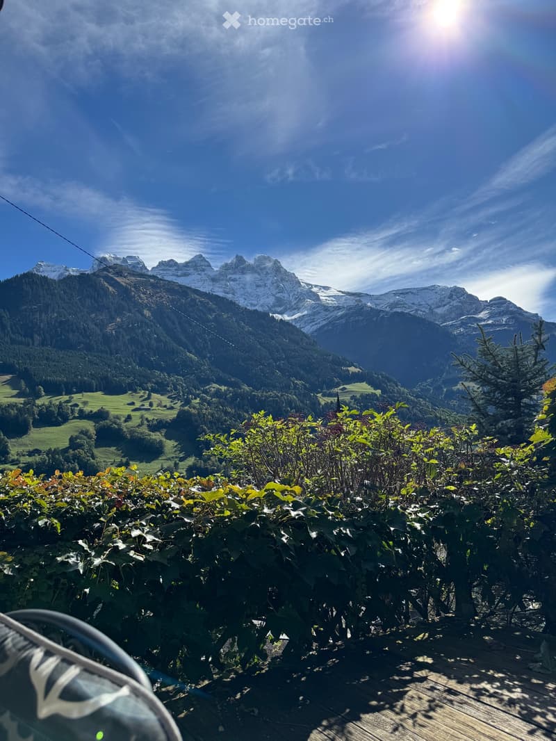 À louer - Magnifique chalet rénové (4,5 pièces) (5)