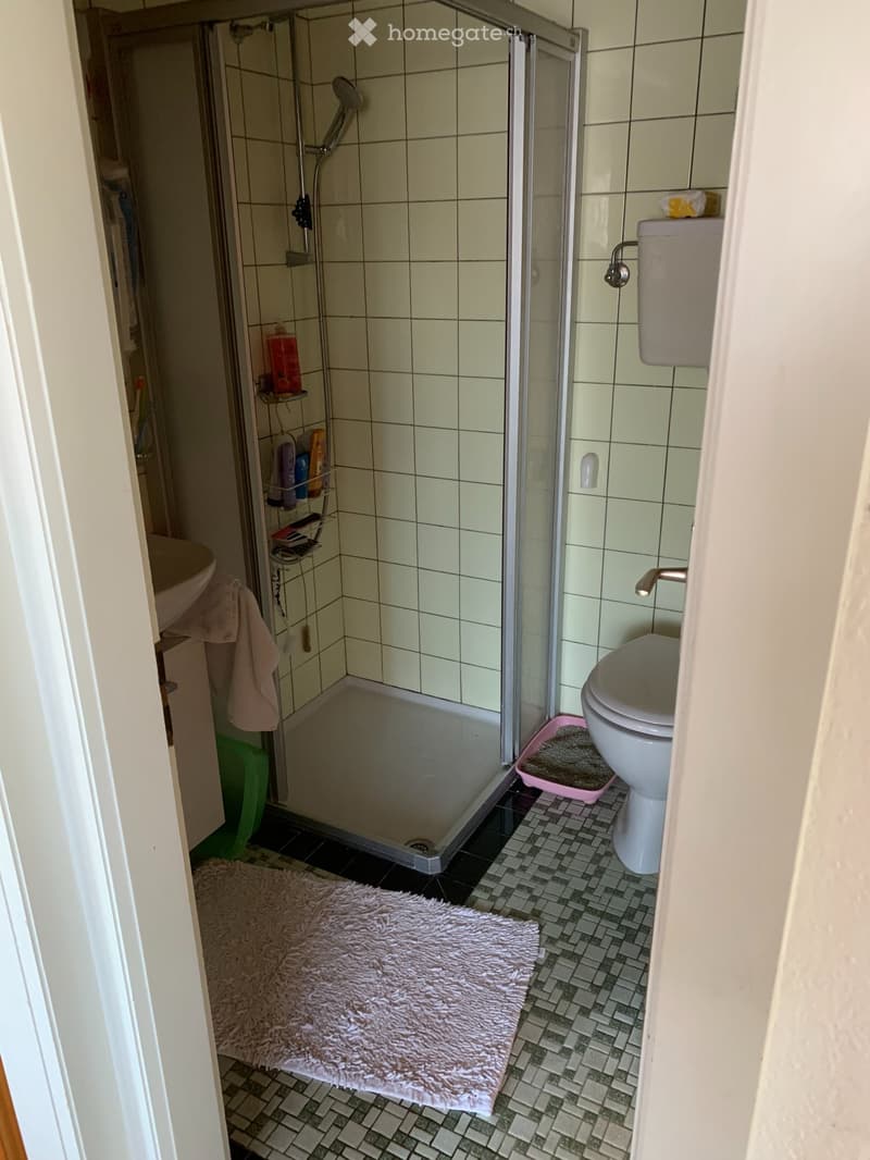 Appartement à louer au centre du village d'Ollon (VD) (4)