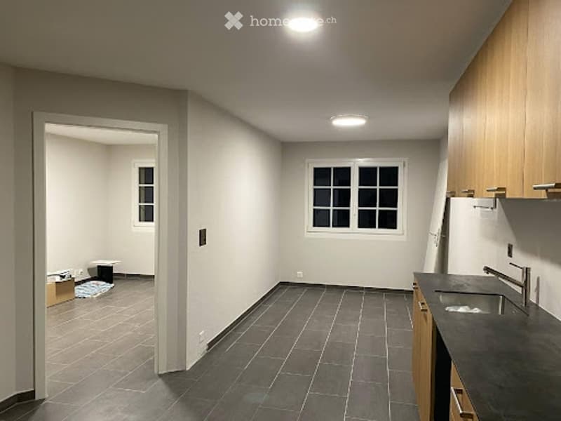2.5 pièces aux evouettes (2)