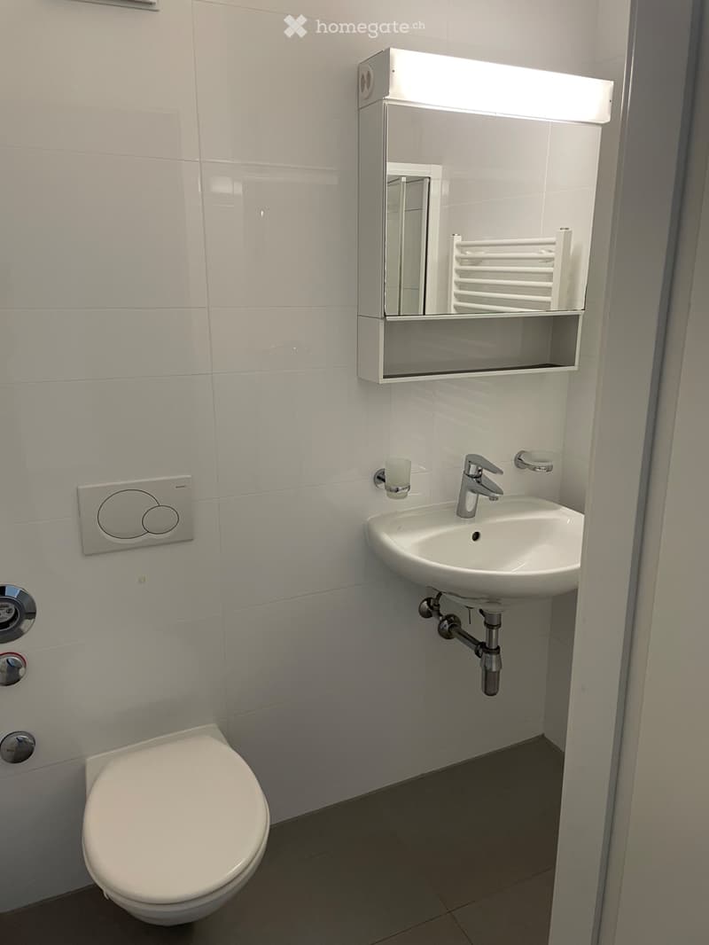 A louer 3.5 pièces centre ville/CHUV (11)