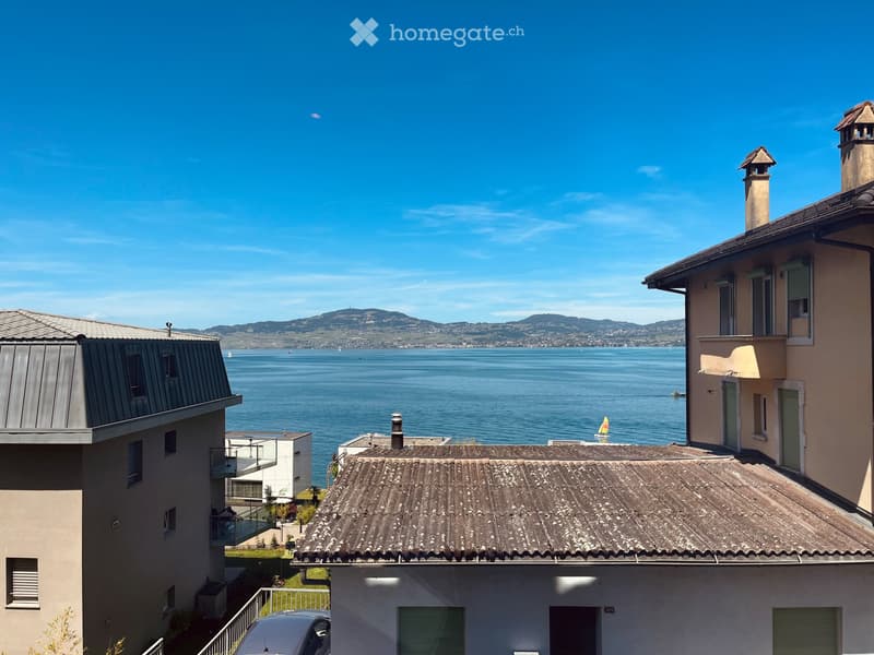 Maison avec vue sur le lac Léman (13)