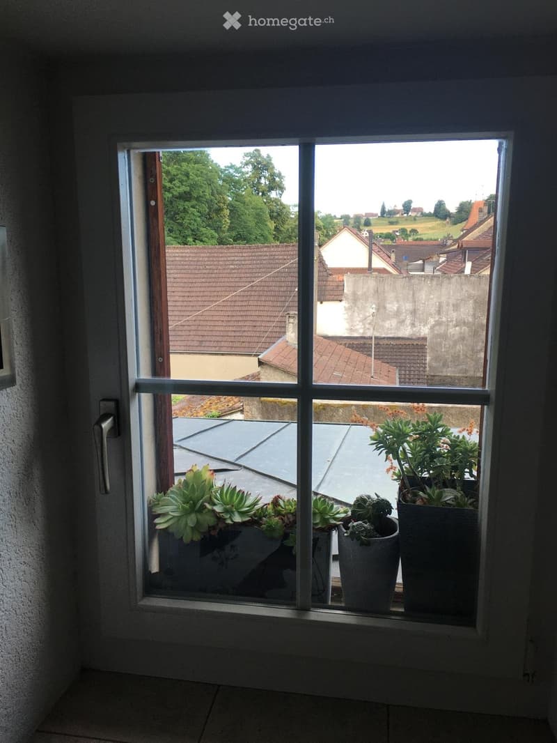 Appartement 3.5 pièce avec vue sur le lac (4)