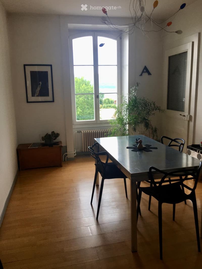 Appartement 3.5 pièce avec vue sur le lac (2)