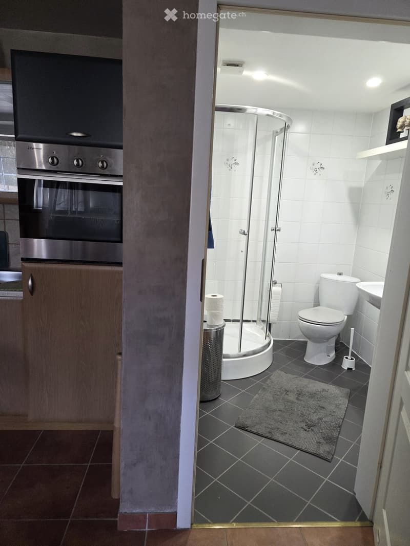 A louer chambre studio de 36m2 . (3)