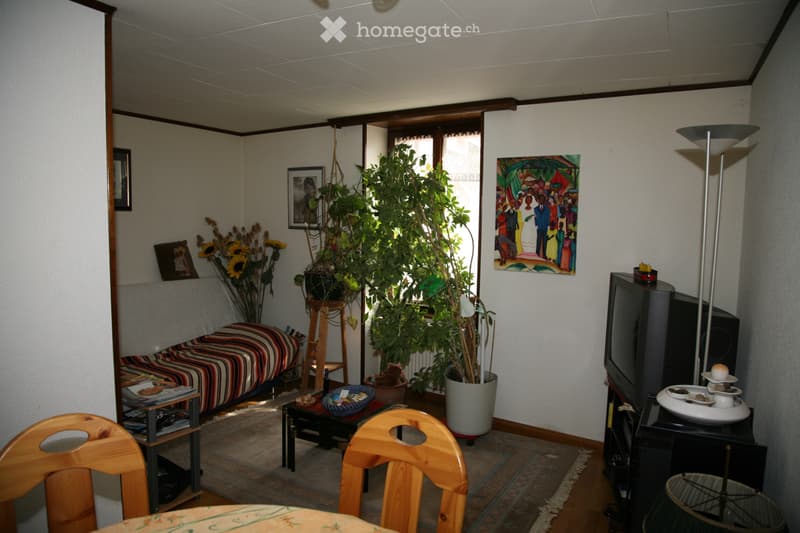 A louer Bex appartement atypique dans cadre de vie agréable (2)