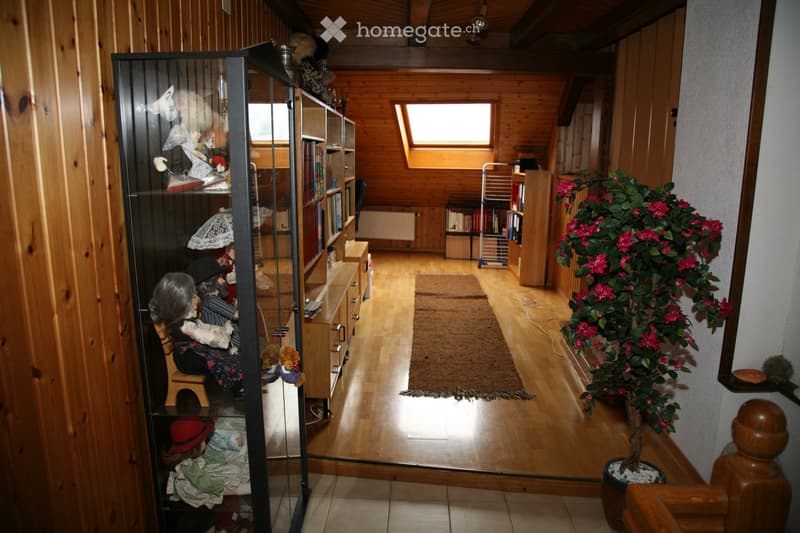 A louer Bex appartement atypique dans cadre de vie agréable (5)