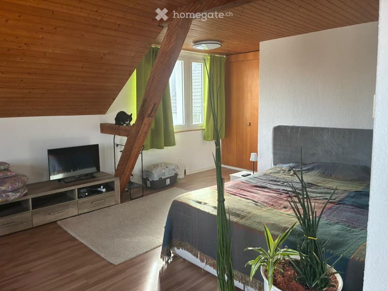 gemütliche 2.5 Zimmerwohnung in Oberdorf SO (4)