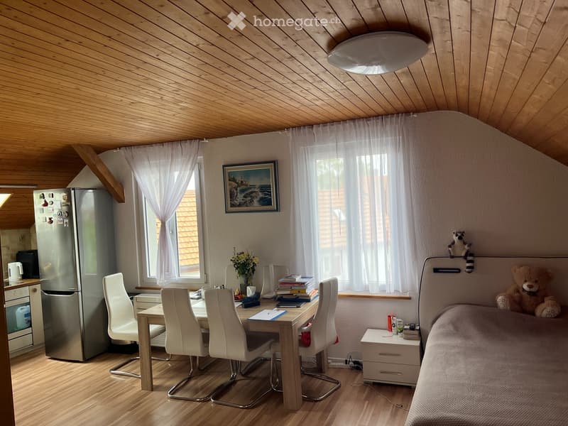 gemütliche 2.5 Zimmerwohnung in Oberdorf SO (1)