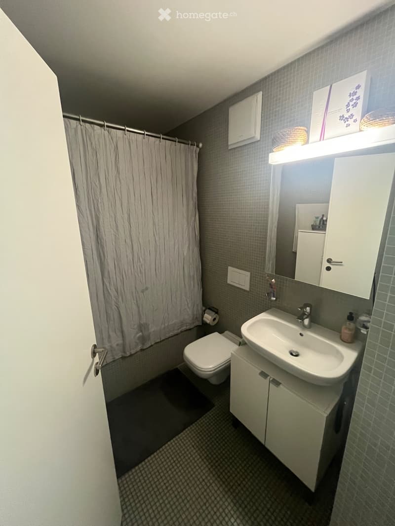 Appartement au rez de chaussée 4,5 pièces (3)