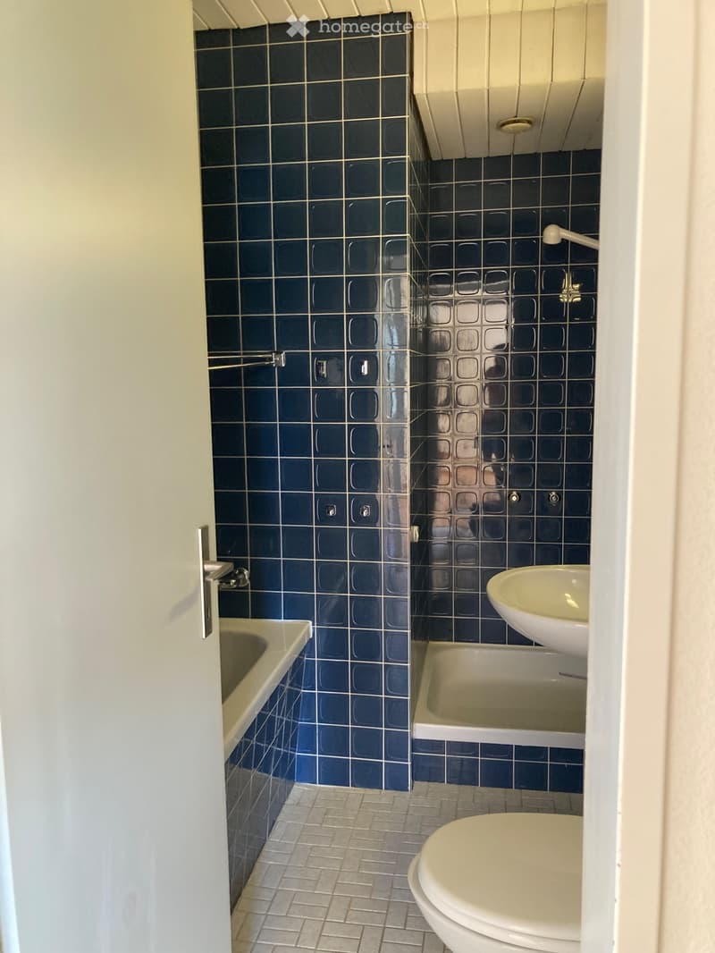 Frisch renovierte 4 1/2 Zimmer Wohnung in Worb zu vermieten (3)