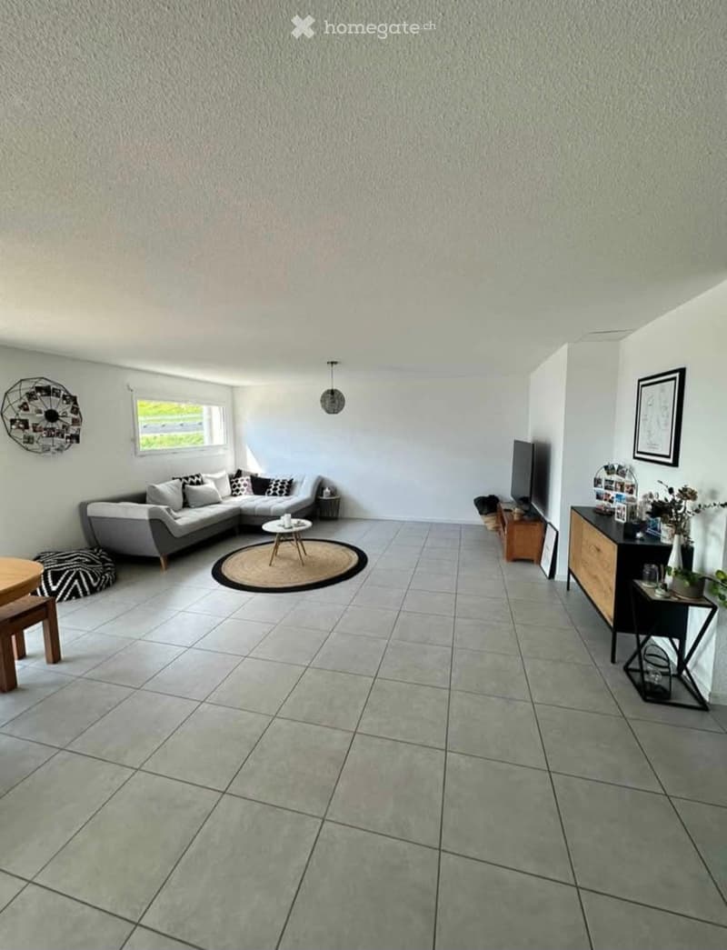Appartement moderne et lumineux de 5.5 pièces à louer (2)