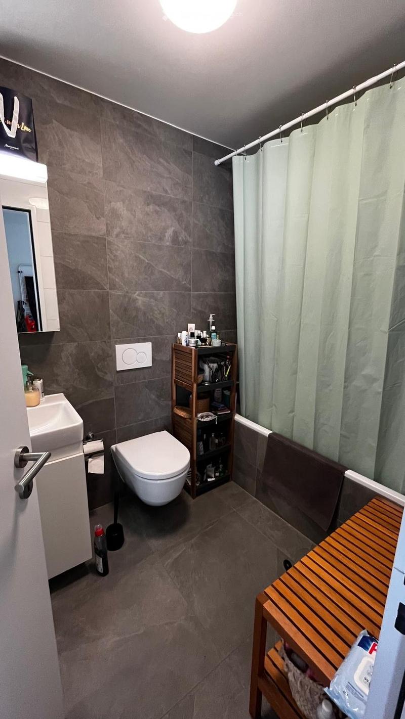 Appartement à louer - 3,5 P - 1er aout (5)