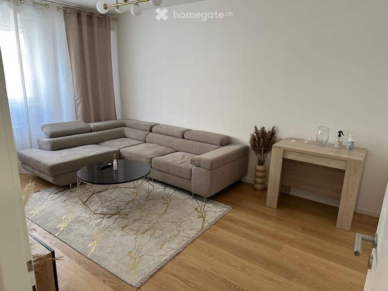 Appartement centre de Genève (1)