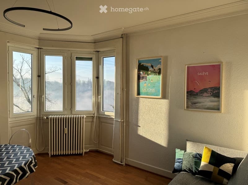 Genève, Saint-Jean | 3.5 pièces rénové | vue panoramique (3)