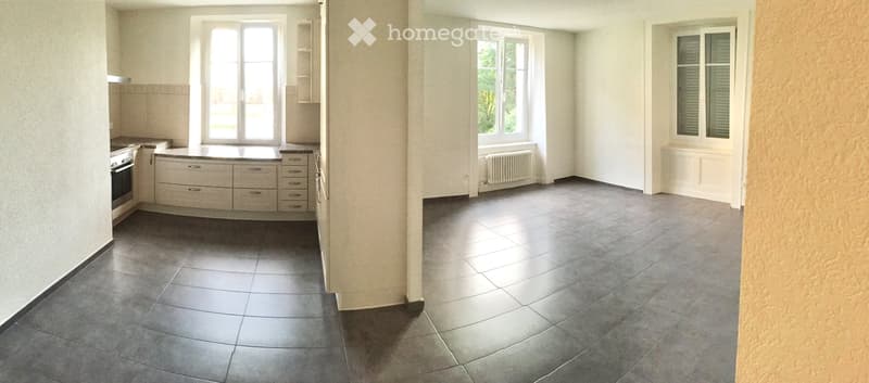 Appartement de 4.5 pcs (1)
