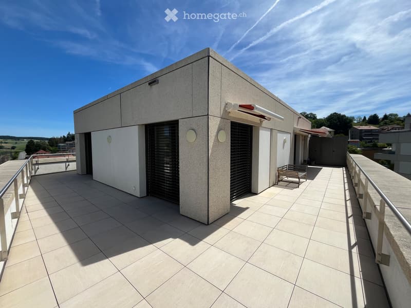 Appartement attique 3.5 pièces avec grande terrasse (1)