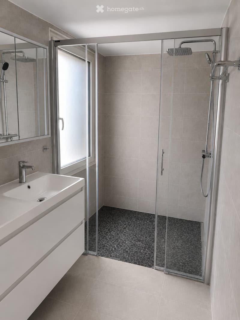 Appartement 4.5 (2)