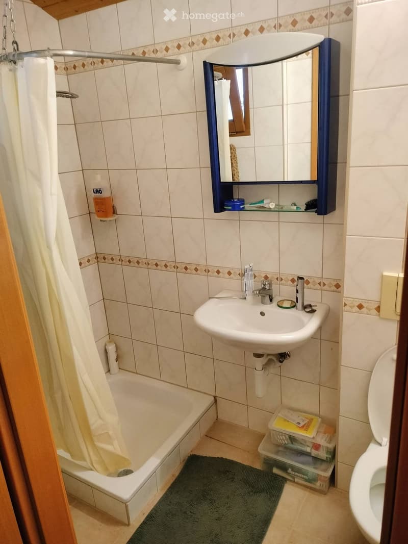 Studio Indépendant avec balcon et place de parc (5)